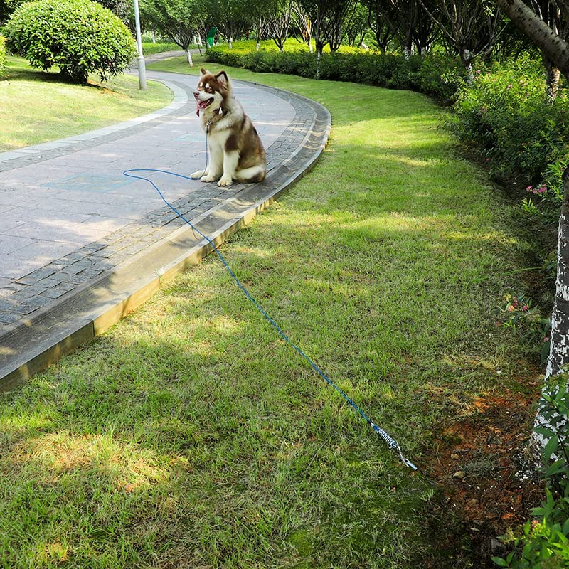 Correa Con Muelle Amortiguador Para Perros - Cuerda Acero Revestida, Clip Giratorio, Para Patio O Exteriores