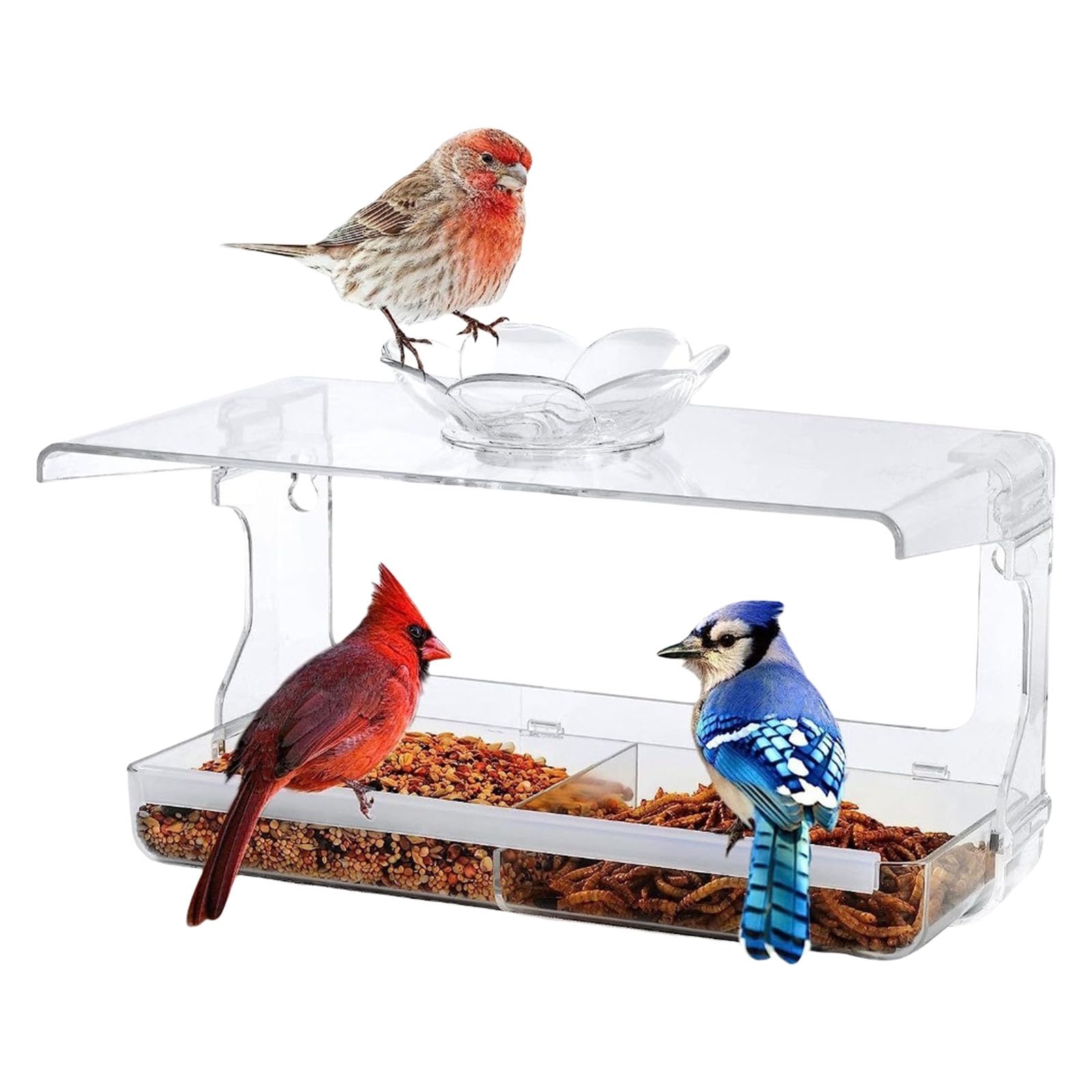 NEWFT Window Bird Feeder With Weatherproof Design And Large Capacity Feed Container For Outdoor Balcony Bird Feeding Supply