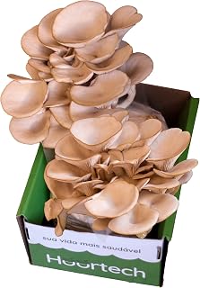 Cogubox - Caixa Cultivo De Cogumelo Shimeji Branco Em 7 Dias