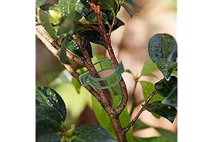 Kinglake Plant Support Garden Clips, Tomato Vine Clips