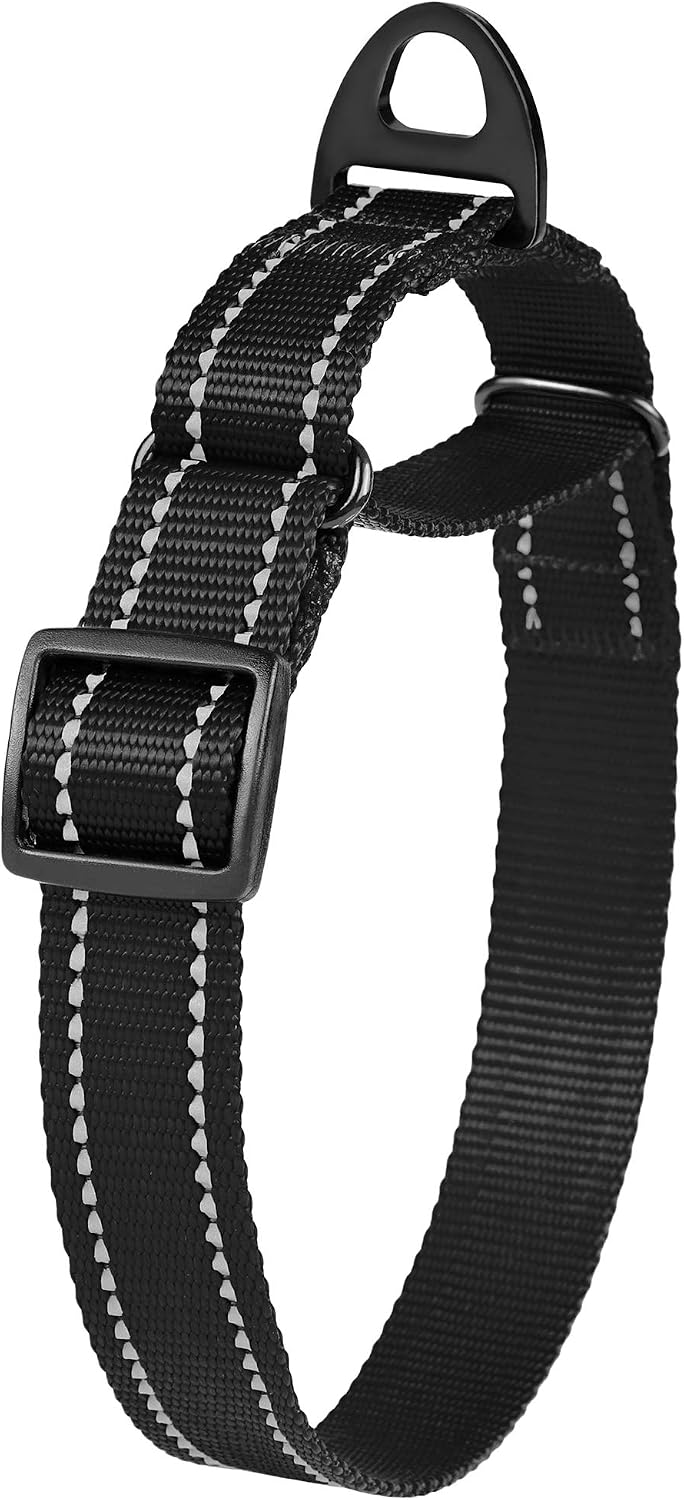 Collardirect Reflective Martingale Dog Collar Nylon Training Collars for Small Medium Large Dogs Puppy Pink Orange Green (M, Neck Size 13"-18", Black)