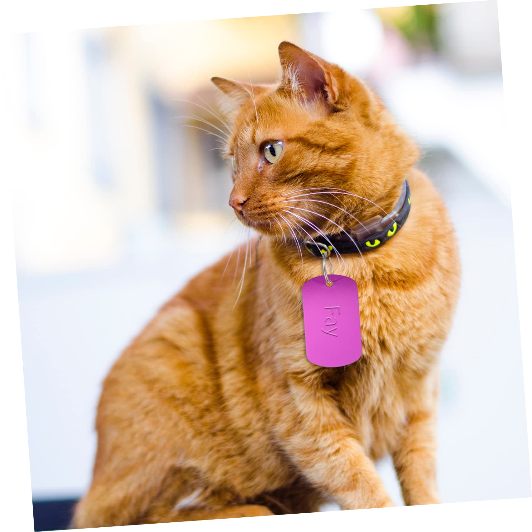 INOOMP 120pièces Étiquettes Vides Alliage pour Animaux Lot de Médailles Personnalisables Colorées Accessoire Pratique Et Élégant pour Chiens Et Autres Animaux De Compagnie