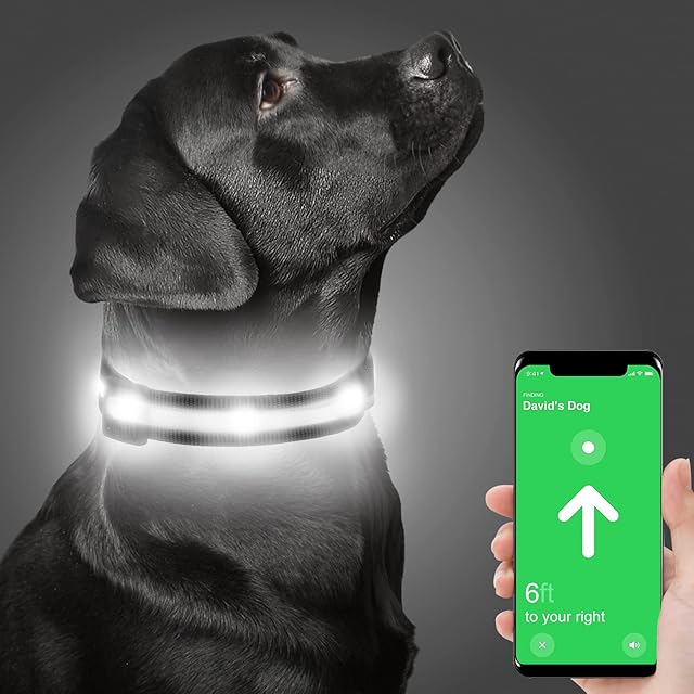 Dynmeow Light up Dog Collar, Waterproof LED Flashing Airtag Pet Collar Lights for Puppy Small Dogs, USB Rechargeable Collars Glowing in the Dark, Black