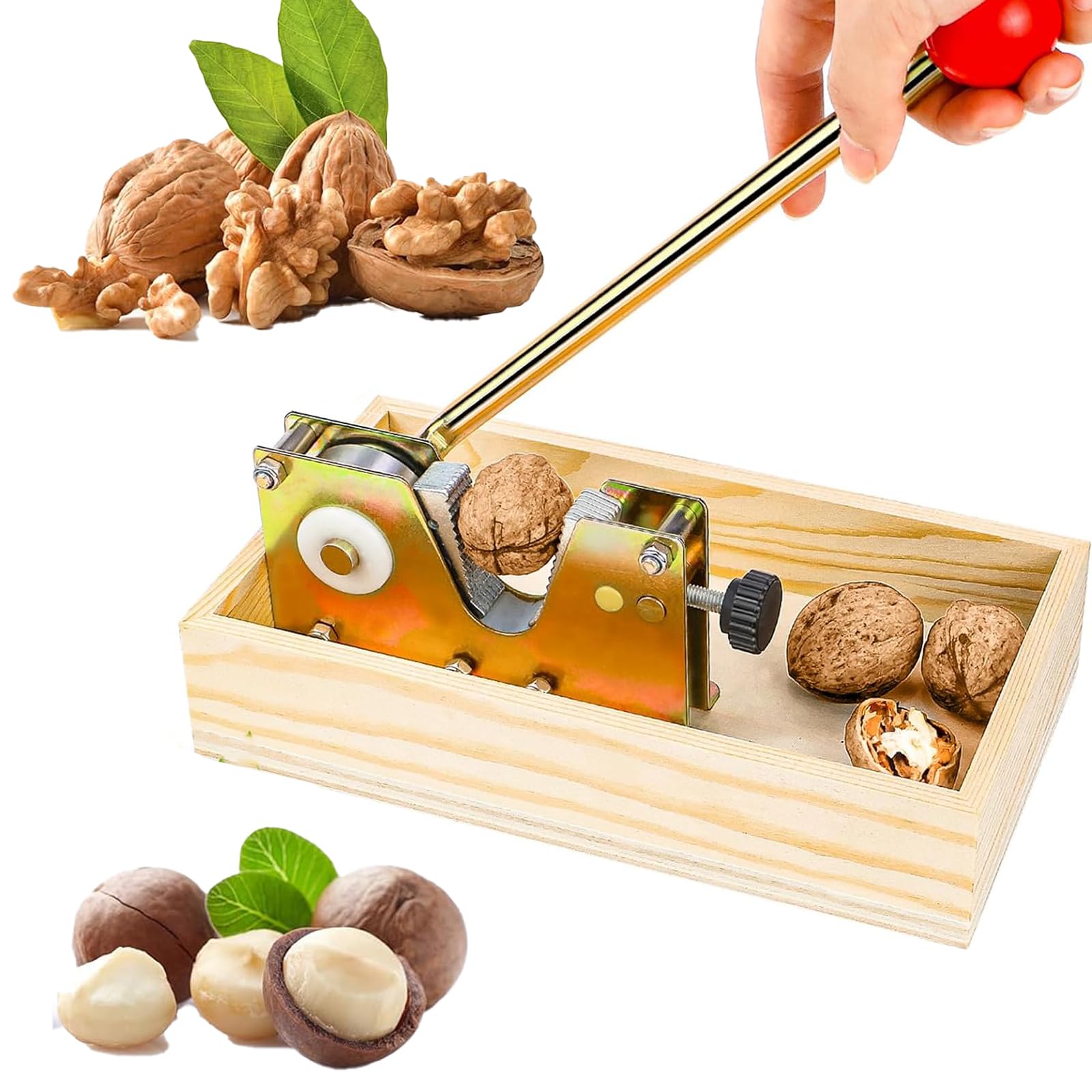 Casse-noix Rapide En Acier Inoxydable, Ouvreur De ... - Grandado