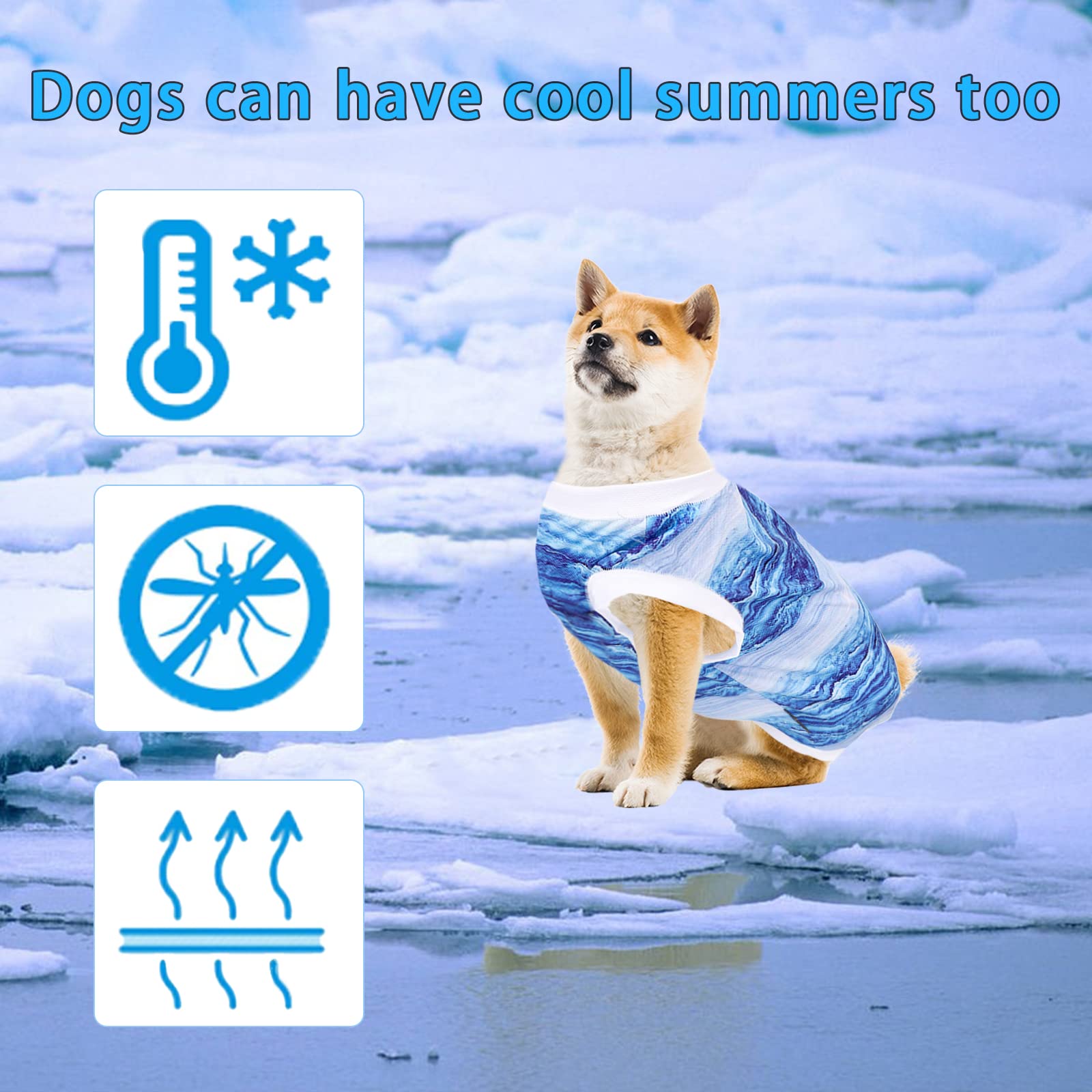 4er Set Hunde T-Shirts Für Kleine Hunde - Sommer Basics