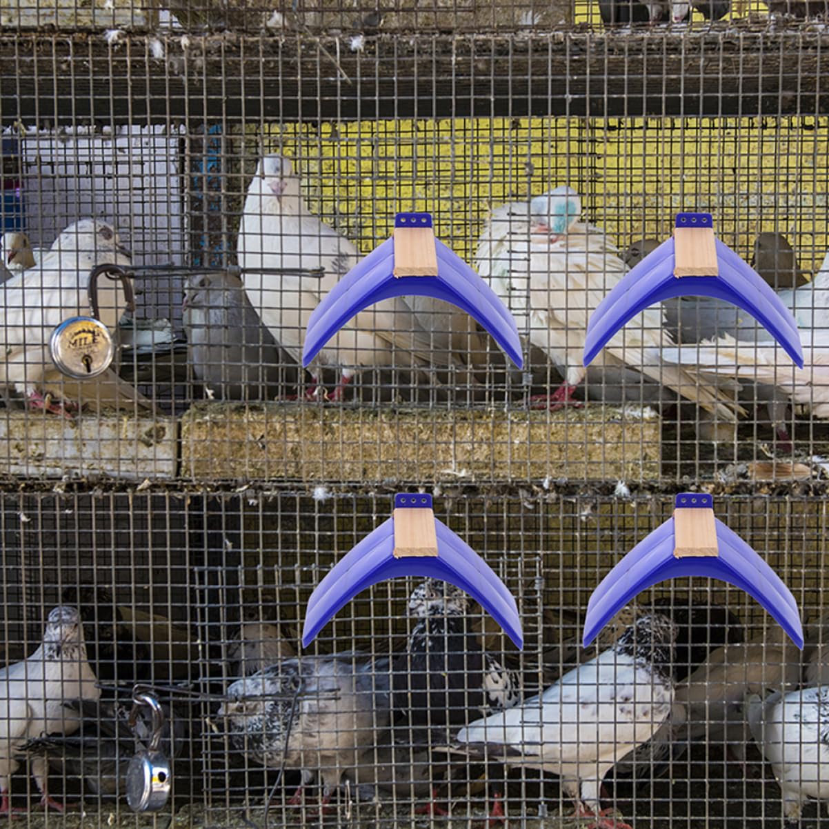 Trespolo per Uccelli e Posatoio per Piccioni in Legno e Pp, Set da 10 Pezzi, Supporto per Gabbie, Accessorio Sicuro per Pappagalli, per Gioco e Svago degli Uccelli Domestici