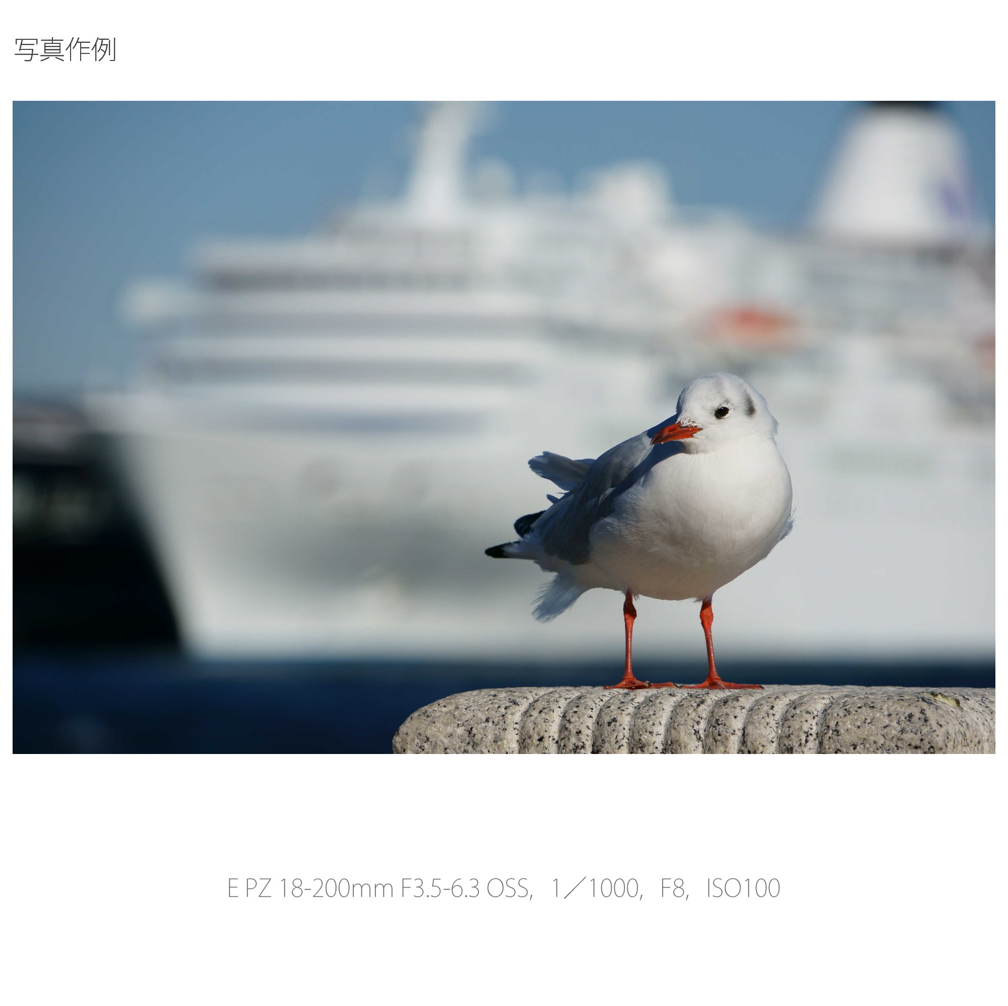 Amazon.co.jp: SONY 高倍率ズームレンズ E PZ 18-200mm F3.5-6.3 OSS 