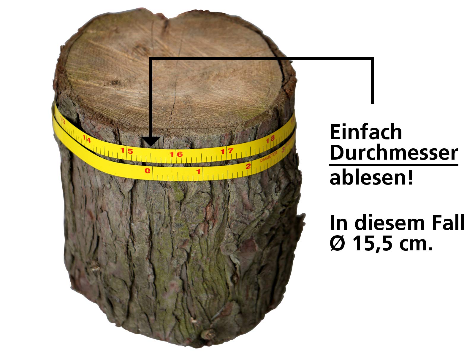Sägenspezi Forstmaßband 15 Meter inkl. Umfangmaßband für Durchmesser Klapphaken