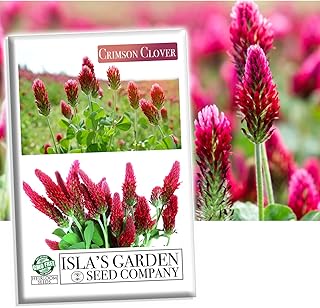 Crimson Crimson Clover Seeds
