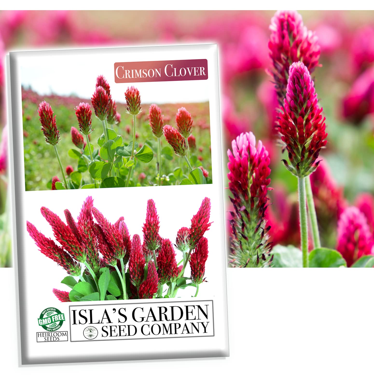 CLOVER♣️HEAD Tri-Clover Blend (Red, White, & Crimson Clovers) | Eretz