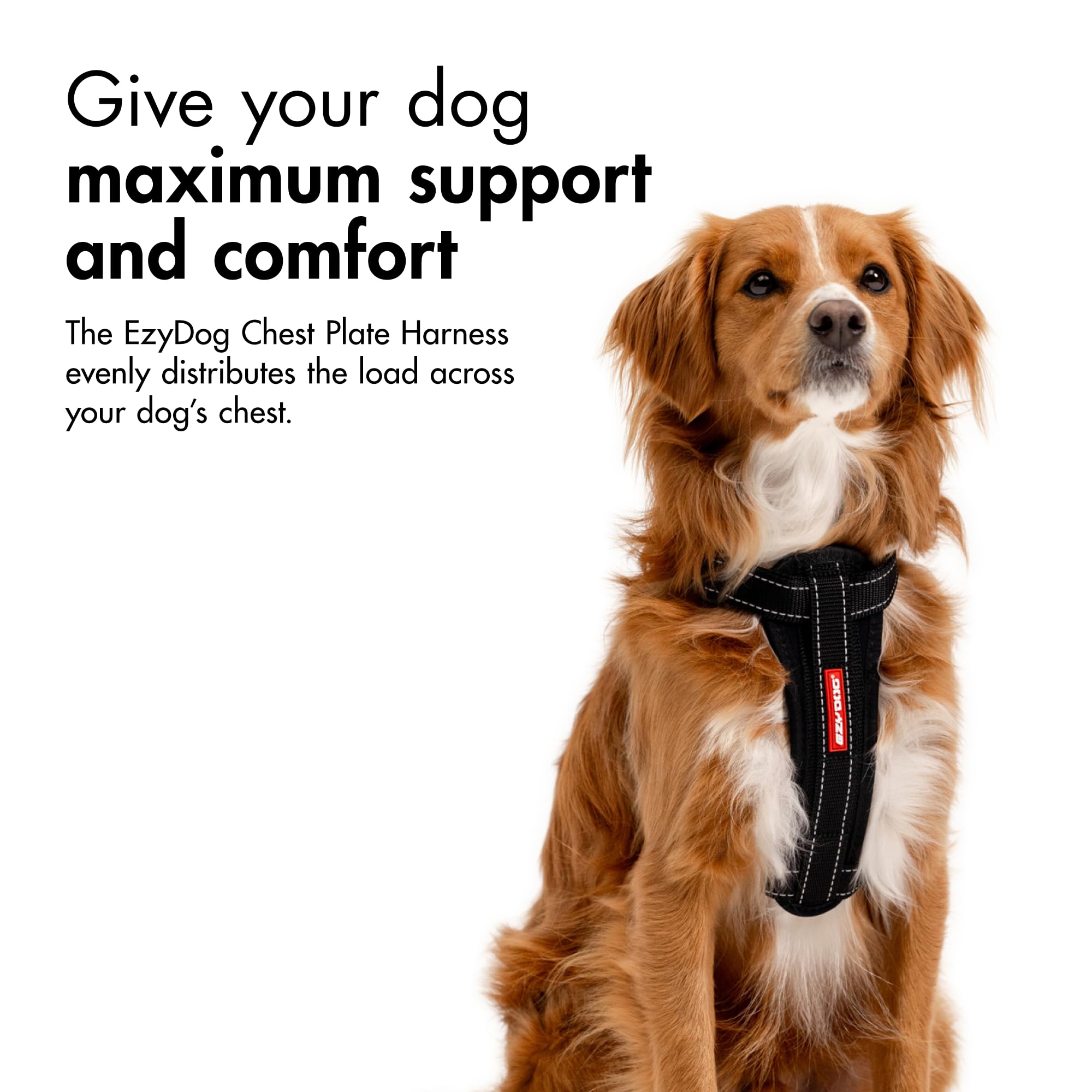 EzyDog Premium Quick Fit - Pettorina Regolabile Per Cani Di Alta Qualit Con Cuciture Riflettenti Perfetta Per Laddestramento La Camminata E~p117133601