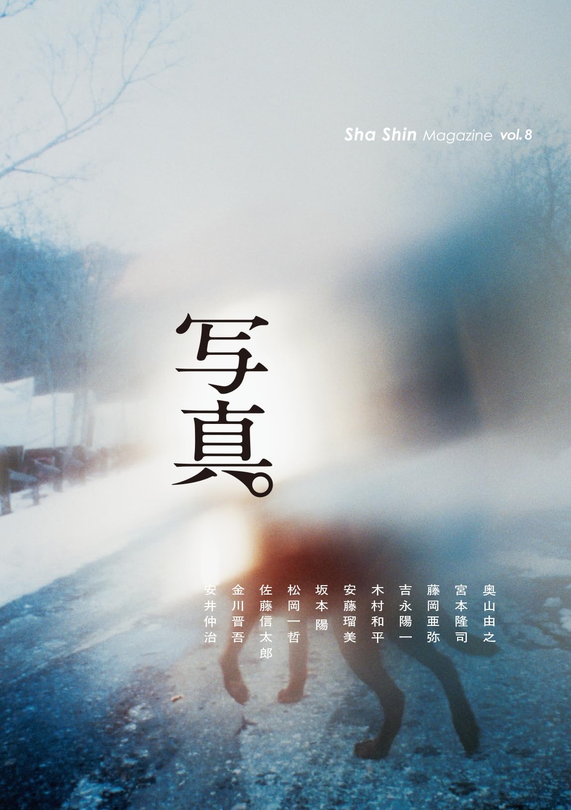 Amazon.co.jp: 「写真」Sha Shin Magazine (vol.8) : 奥山由之, 宮本