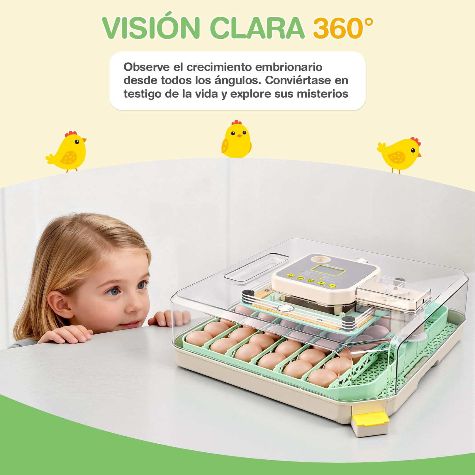 Sailnovo Incubadora de Huevos Automática 48 Huevos con Control Preciso Temperatura/Humedad, Volteador Automático de Huevos, Vista 360°, Ovoscopio Para Huevos, Para Gallina/Pato/Codorniz,Verde