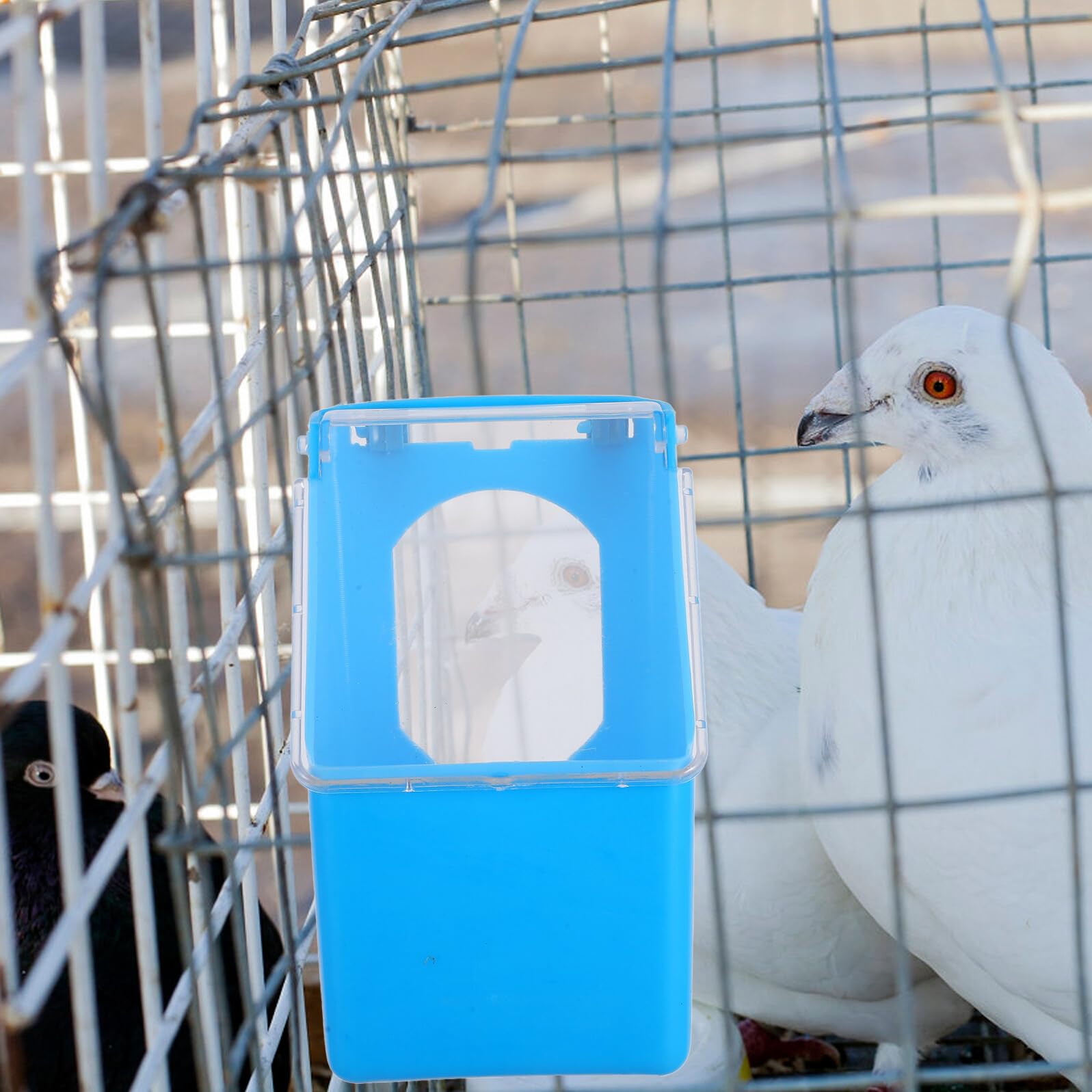 VANZACK 8 Piezas Comedero Colgante para Caja Alimentadora Multifuncional con Tapa Plástico Resistente Fácil de Colgar para Jaulas de Aves Domésticas Azul y