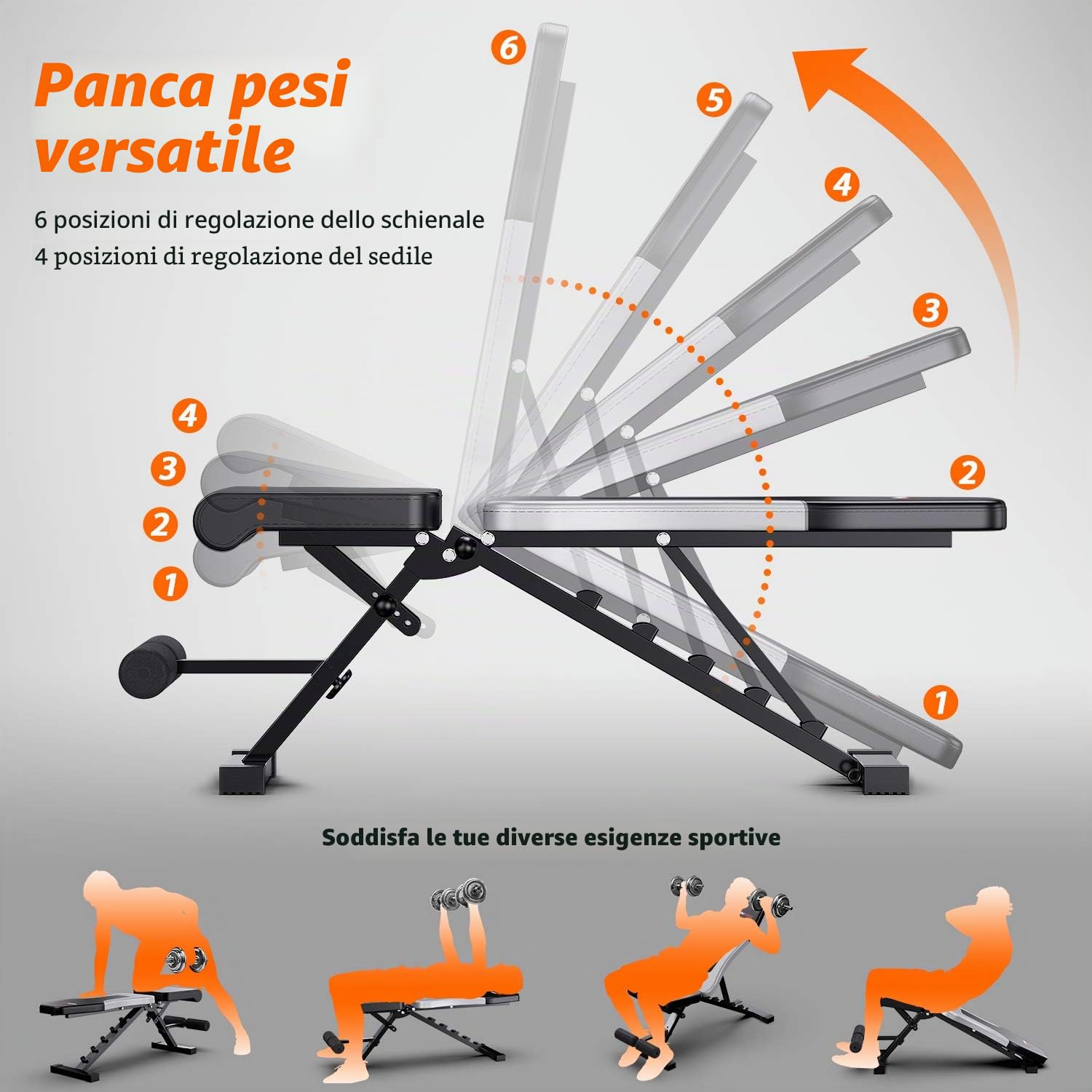 WINNOW Regolabile Panca per Allenamento con Pesi Pieghevole Panca per Allenamento a Casa in Palestra Panca Inclinata Declinata Piana a Pressa Multiuso Esercizi