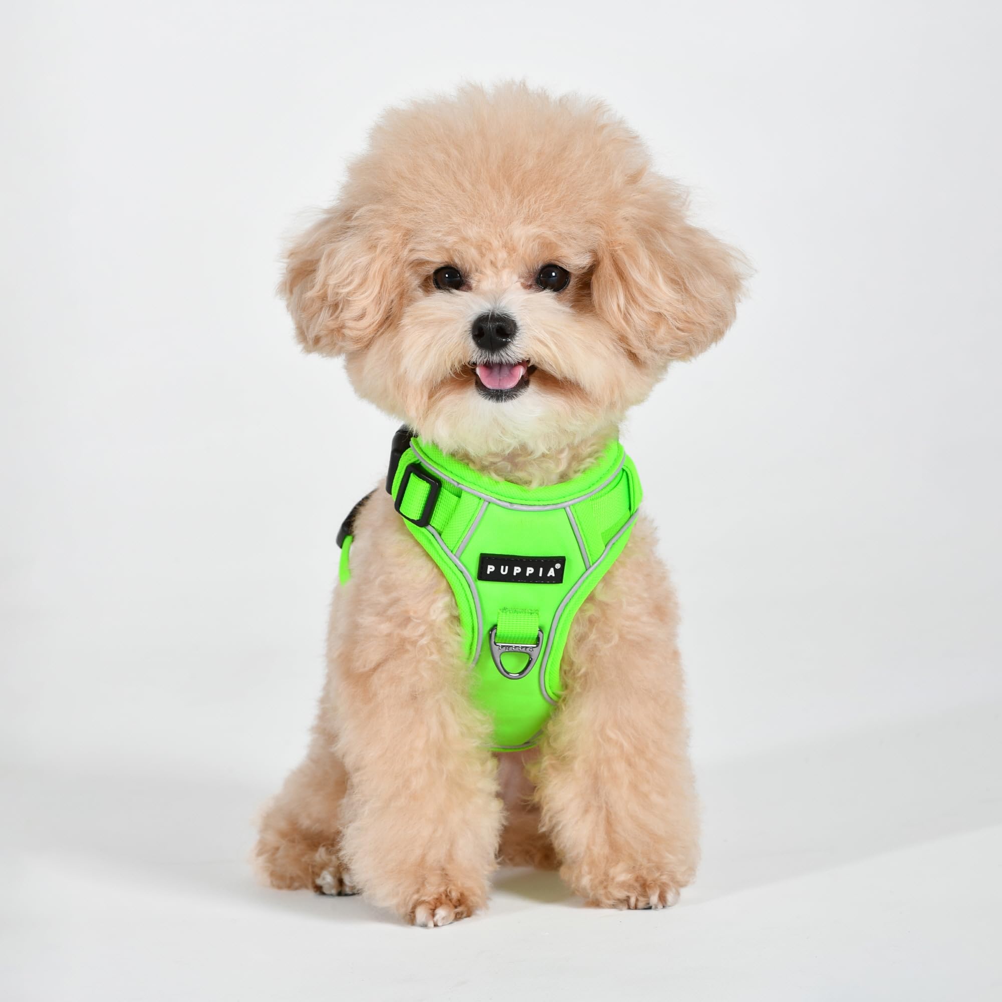 NEON HARNESS H Pettorina per cani S Verde