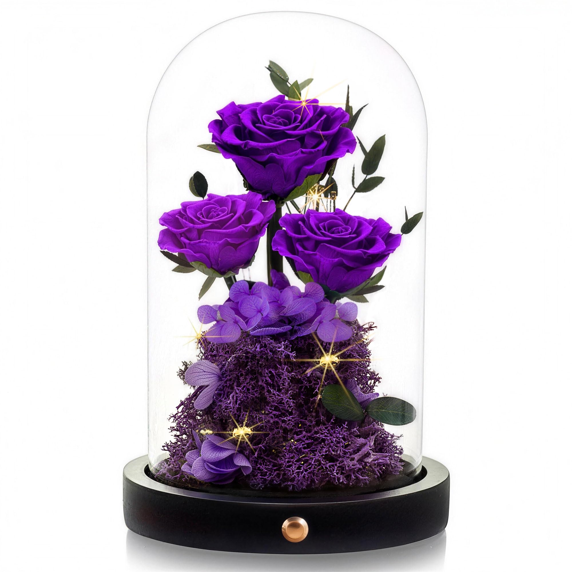 Agrul Preserved Rose in Glass Dome