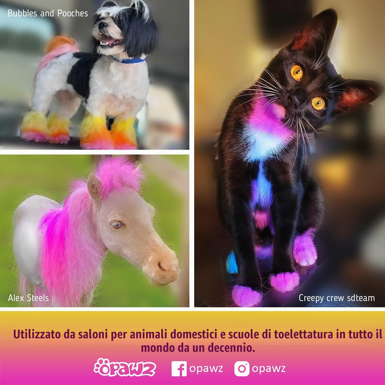 OPAWZ Semi-Permanente Tintura per Cani, Pigmenti Alimentare, Professionale Colorante per Cani, Gatti e Tutti gli Animali che Possono Essere Lavati (Shocking Rosa)