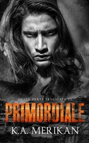 Primordiale: gay romance