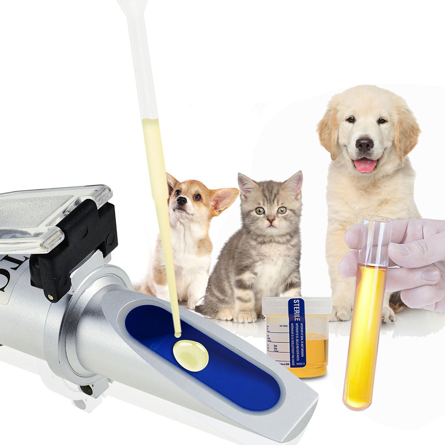 Amazon | 手持屈折計,Timvasion ペット犬猫尿比重屈折計 犬猫の尿比重