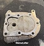 Review Image by T lymphocyte T lymphocyte