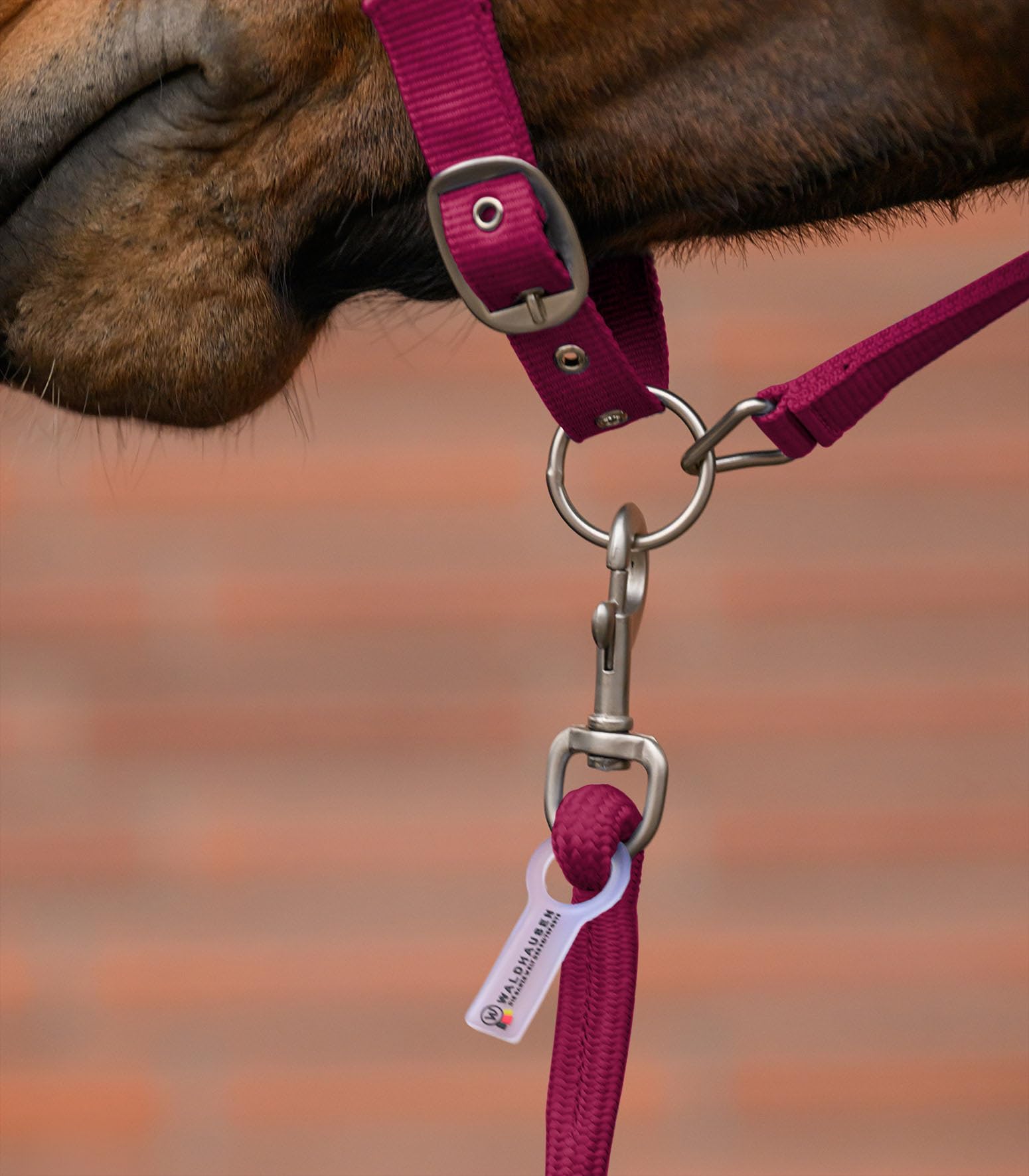 WALDHAUSEN Halfter Set Velvet, Granatapfel, Pony