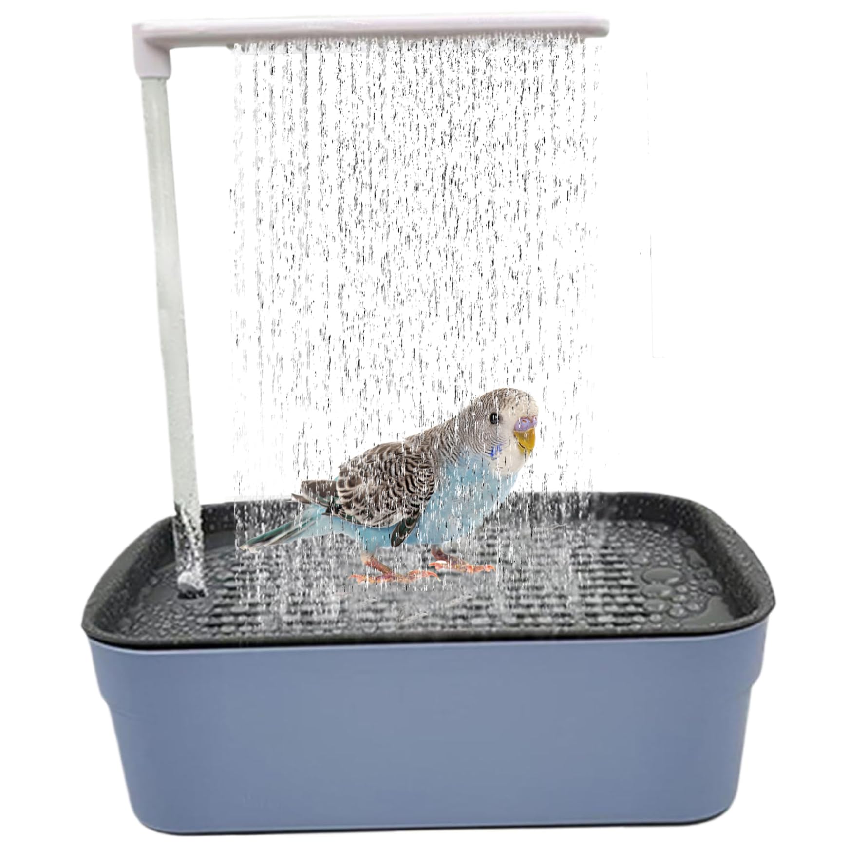 Ensemble de bain à oiseaux électrique pour le nettoyage quotidien de votre perruche
