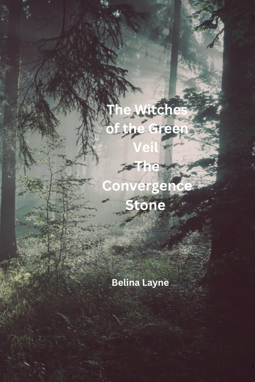 The Witches of the Forest The Convergence Stone: The Rivers Edge (The Witches of the Green Veil)