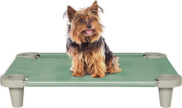 Acrimet Cooling Elevated Pet Dog Bed Cot for Small Dogs, Washable and Breathable Mesh Fabric, Stainless Steel Frame, Indoor & Outdoor Use, Size 26x 20 Green Color 1 Unit