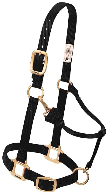 Weaver - Cuero Ajustable de Nailon para Caballo Halter, Color Negro, árabe y Rojo