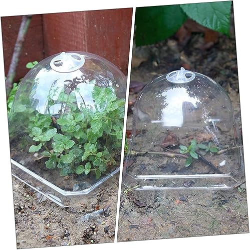 Miniatura 8 de MERRYHAPY 15 Uds. Cubierta de plántulas Cloche Plant Nursery Macetas Domo Mantener a las ardillas fuera de maceta, Mini cúpula de invernadero