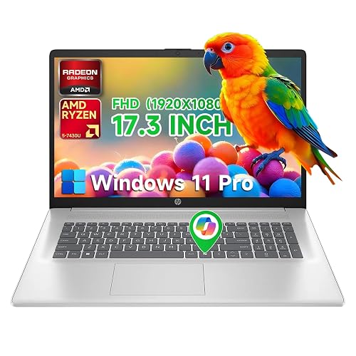 HP Flagship 17 Business Laptop with Ryzen 5