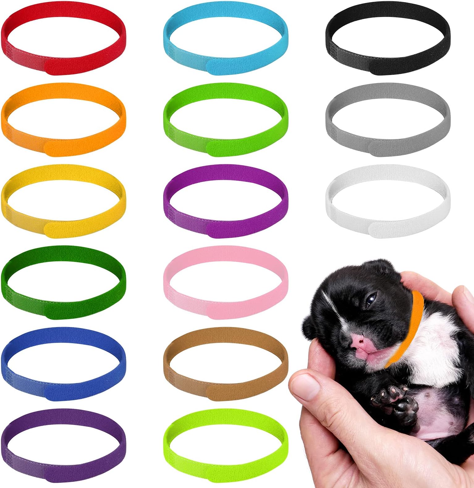 Puppy and Kitten Whelping Kit Whelping Kits for Puppies Including 12