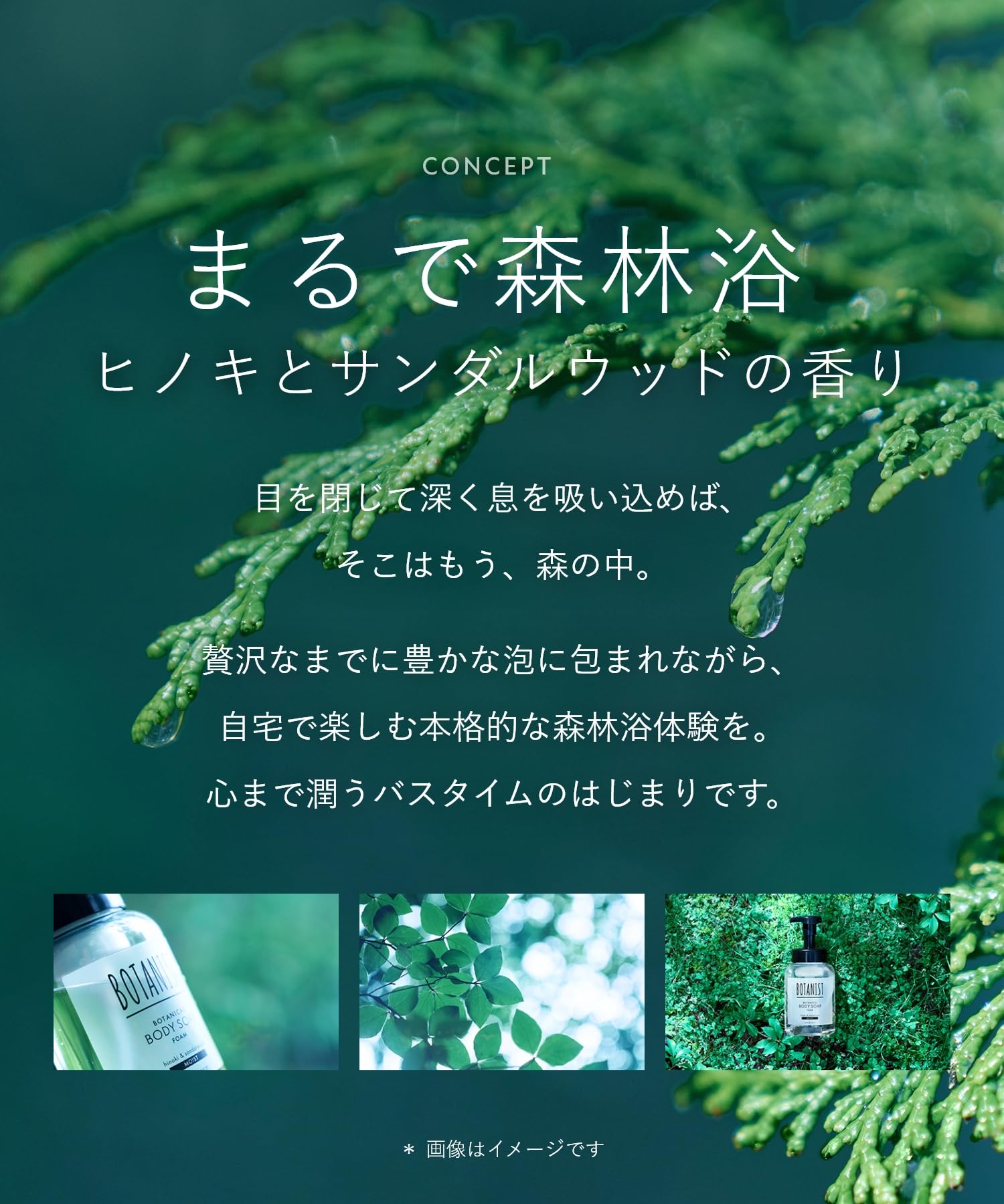 【新モデル】 BOTANIST ボタニスト 泡 ボディーソープ モイスト - 4