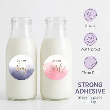 120Pcs Watercolor Gender Show Stickers Boy or Girl Stickers for Gender Post Team Pink Team Blue Sticker Baby Shower Games Labels Sticker