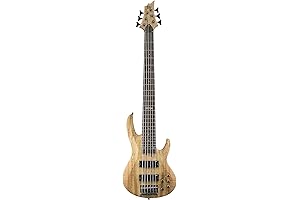 ESP LTD B-206SM: The Heart-Pounding Bass with Enhanced Spalted Maple Touches