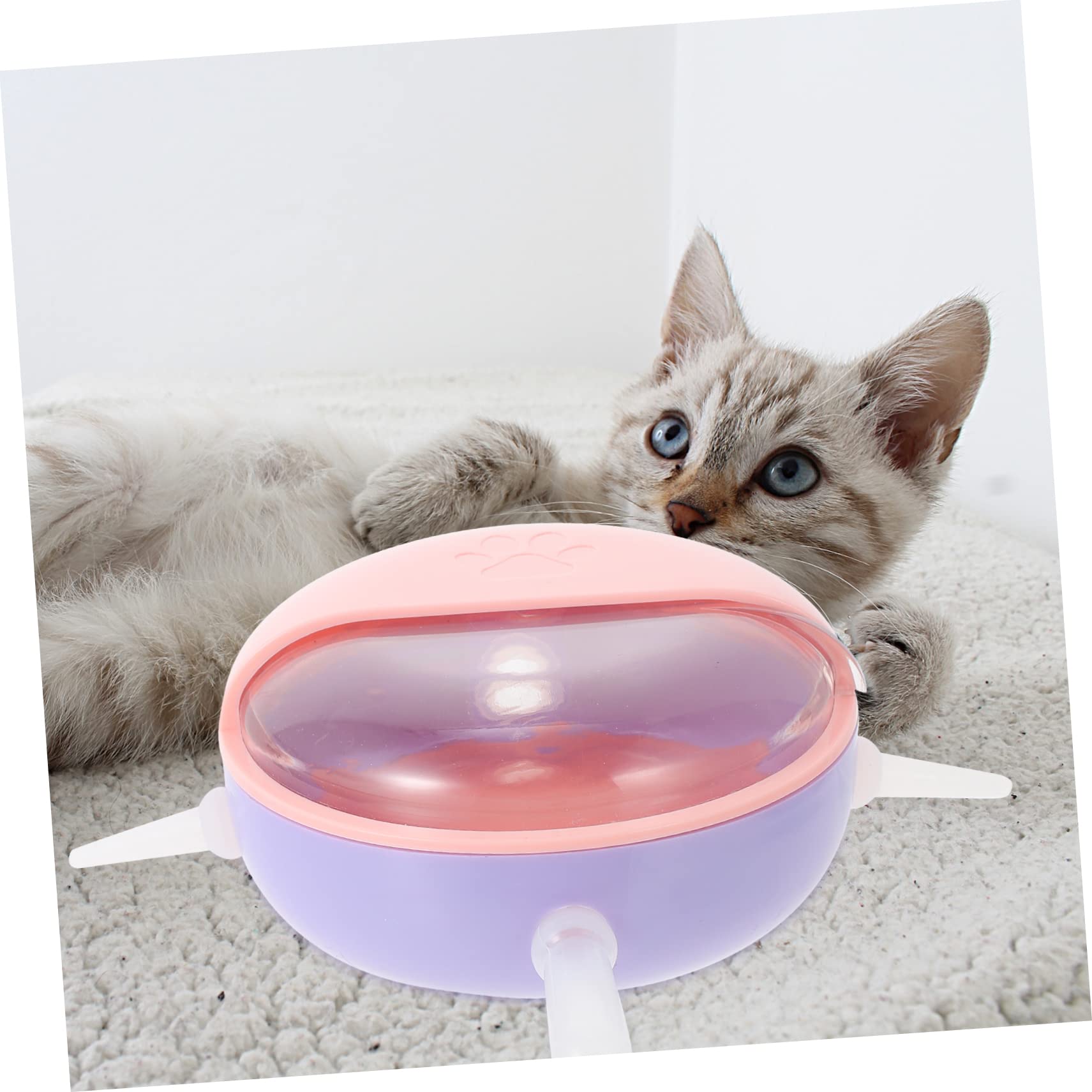BESPORTBLE Cat Feeder with 4 Spouts Kitten Milk Bowl for Newborn Puppies and Kittens