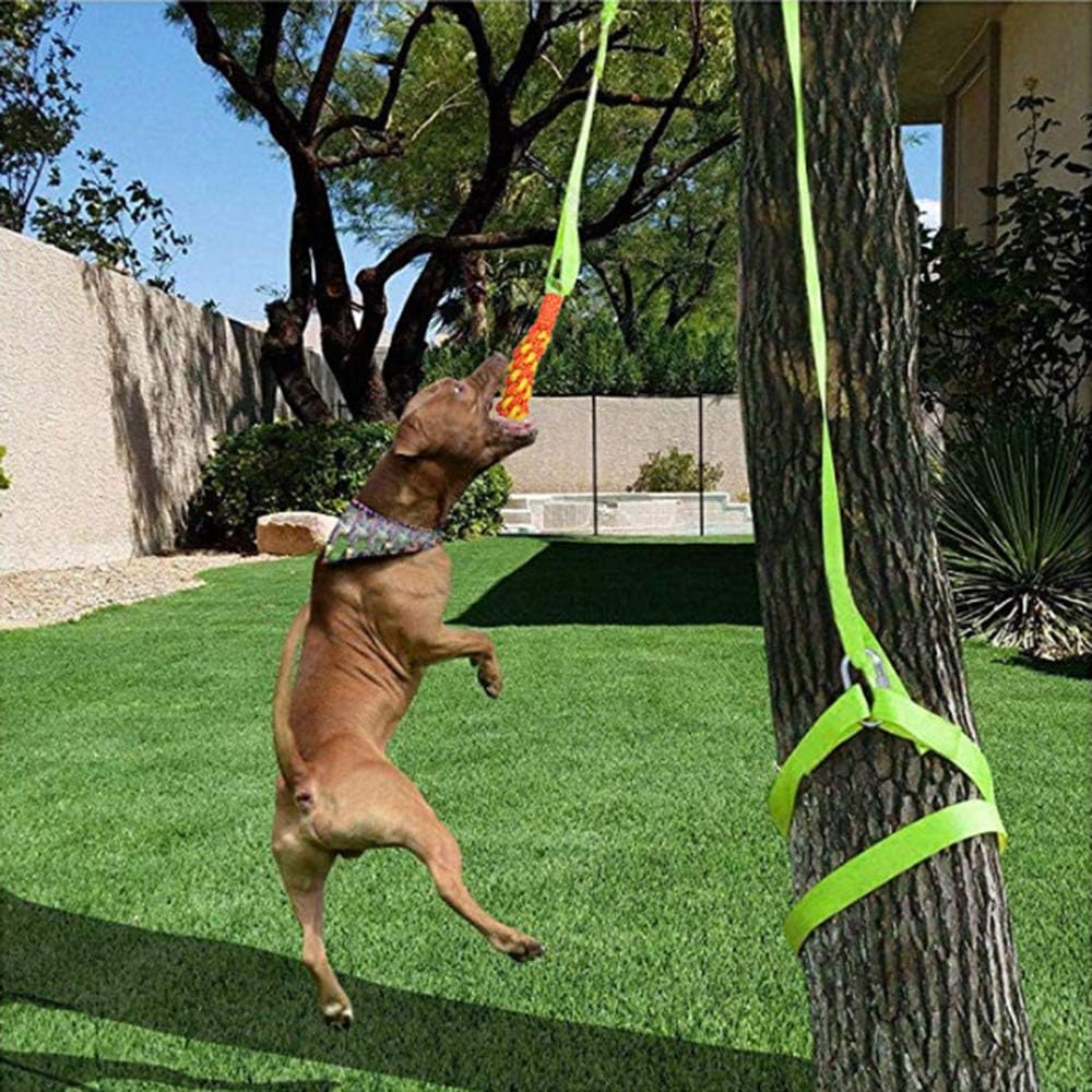 Hanging bungee dog toy Clearance