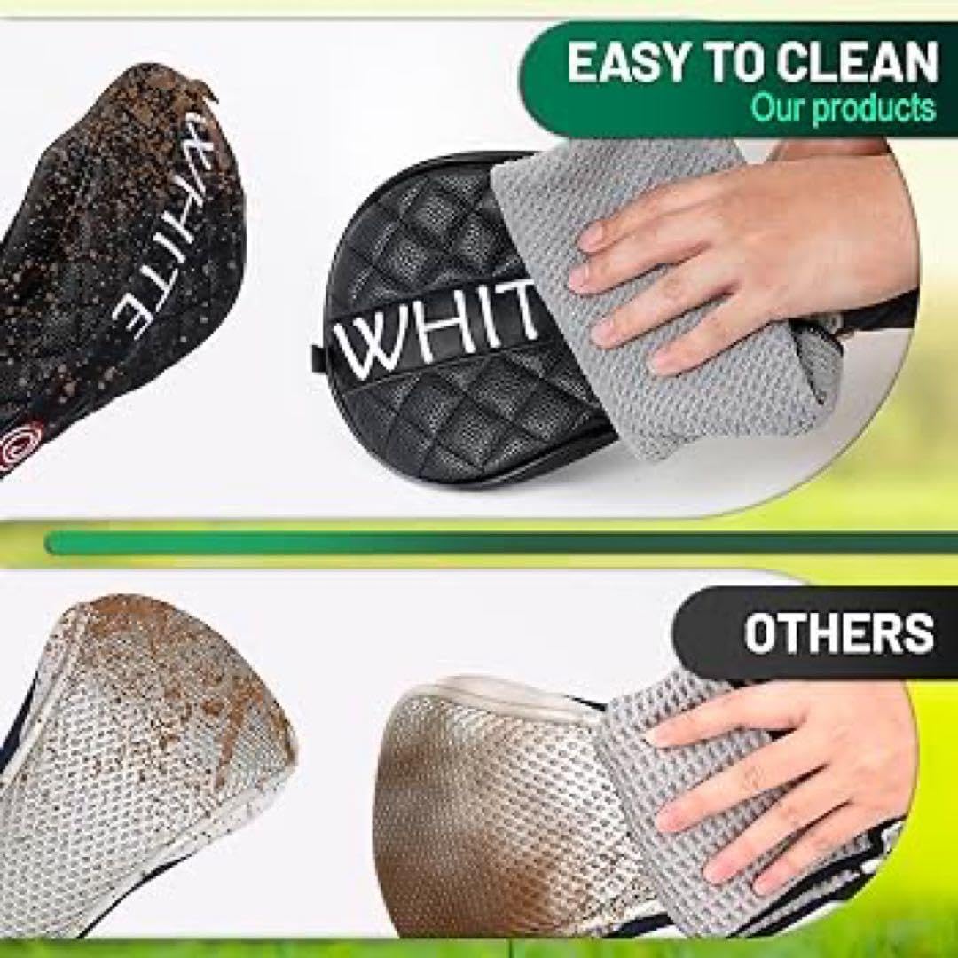 天才画家速水御舟 作品集大作編 便利堂監修 画集 NO 10 【菊花図