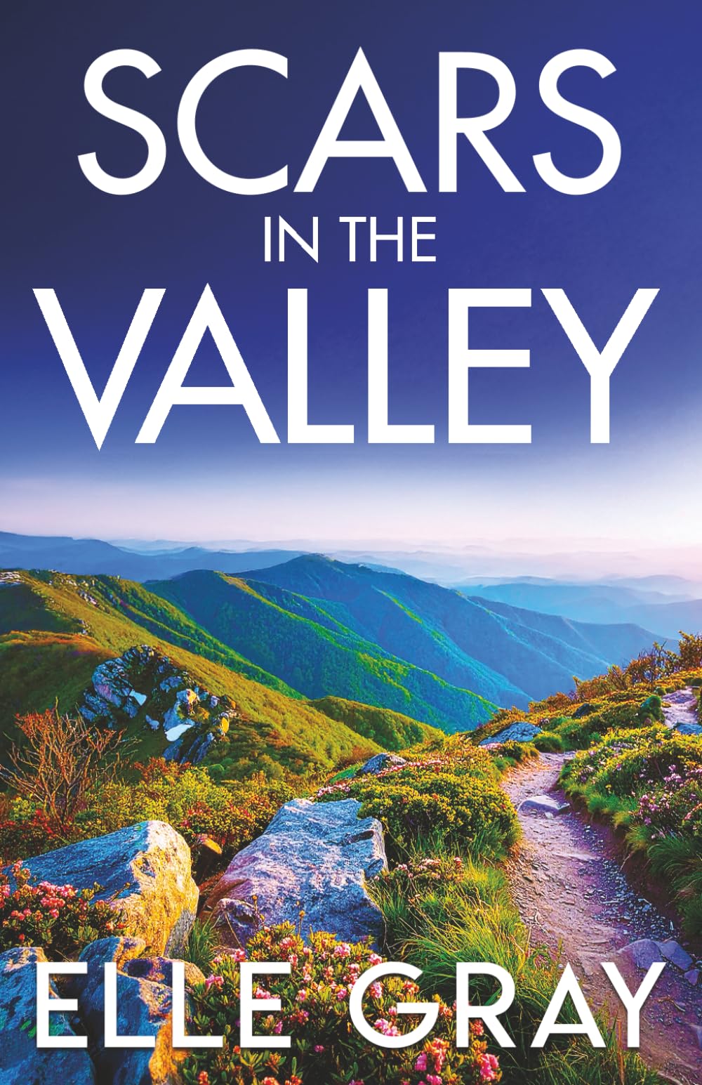Scars in the Valley: 2 (A Sapphire Valley Mystery)