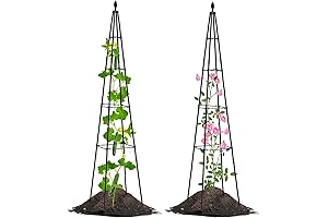 Lalahoni 2 Pack Super Strong Bean Pole Trellis