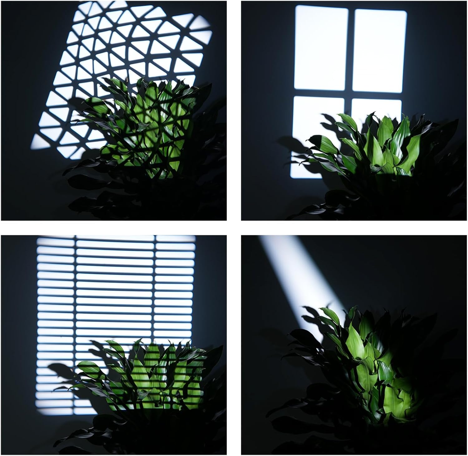 Bowens Mount Snoot Photography, Optical Snoot kit for Monolight Portraits/Flash Speedlite/LED Light, Compatible with Aputure Storm 400X Amaran 100X/D 200D/X,Godox SL60 etc,4 Color Filters,25 Gobos