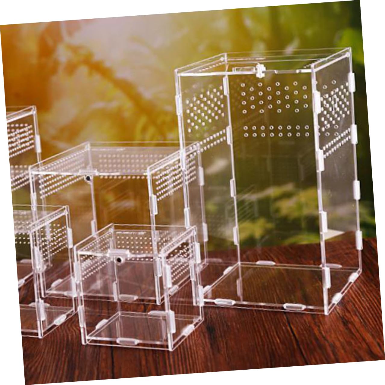 Hemobllo Caja de Cría para Reptiles Acrílica Transparente Ventilación Desmontable para Alimentación de Insectos y Alojamiento Confortable