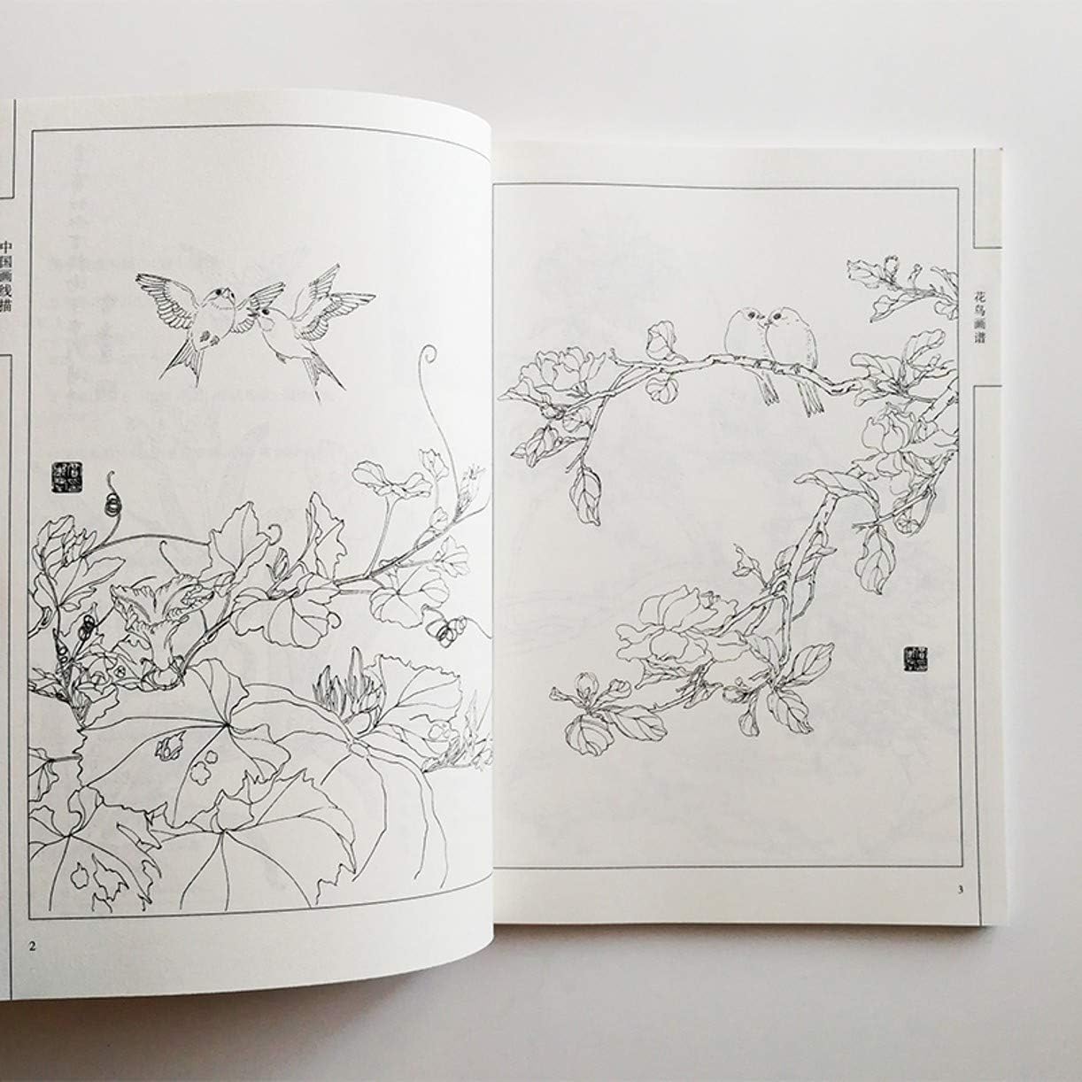 WellieSTR Chinese Painting Birds Paintings Art Book by Liu Qinfang Coloring Book for Adults Relaxation and Anti-Stress Painting Book