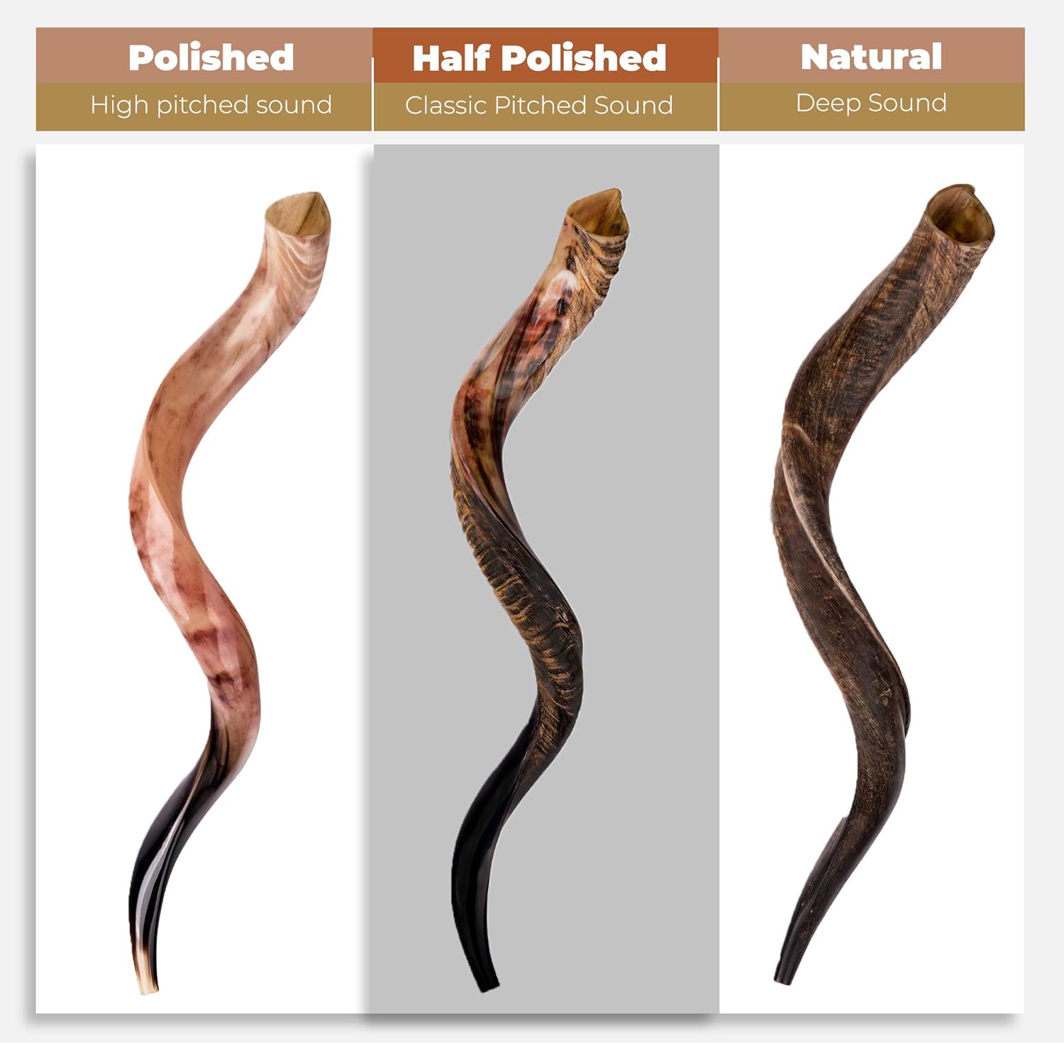 Shofar Horn Instrument - Shofar Angels Musical Instrument - Horn Gift From Israel - Kosher Jewish Shofar - Holy Instrument For Jewish - Traditional Israeli Horn - Half Polished (40''-42'' - Jumbo) : Musical Instruments