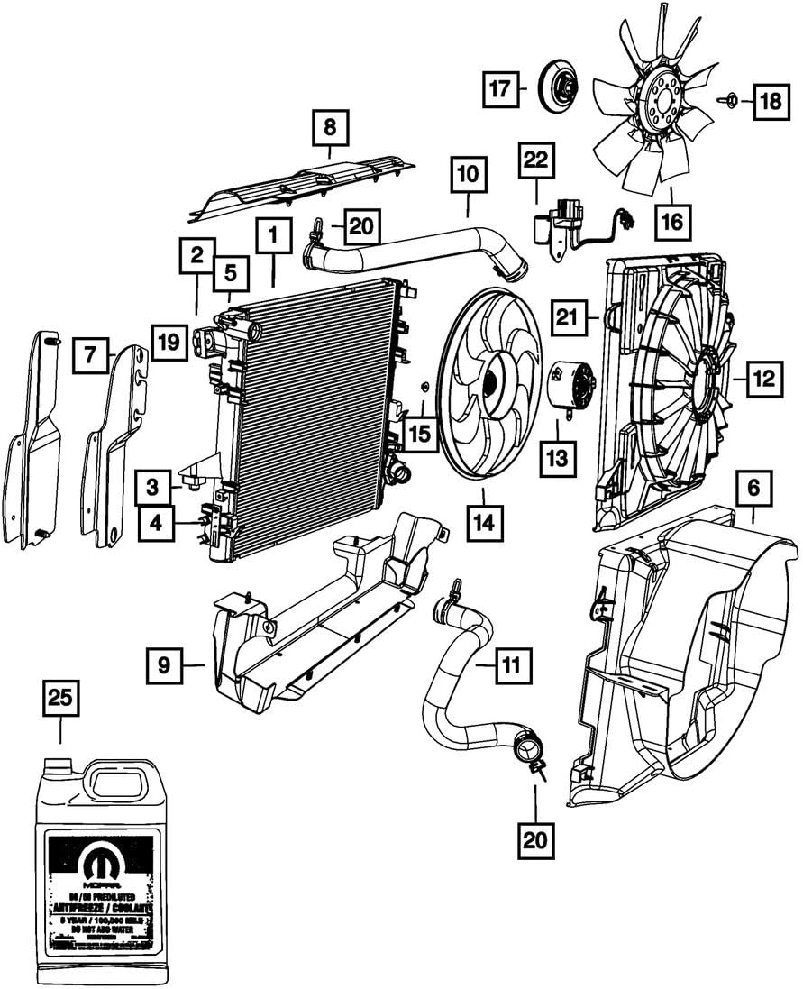Radiator Outlet Hose