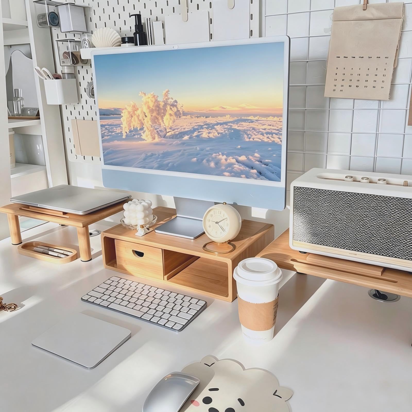 Dual Monitor Stand Riser with Drawer for Desk Laptop