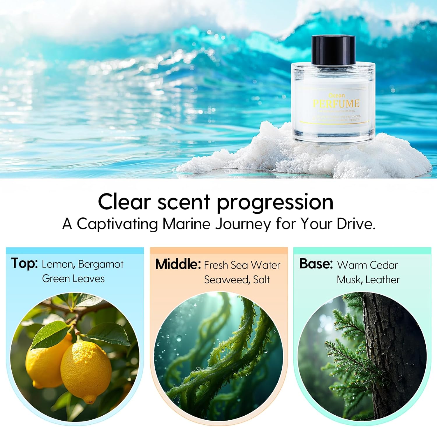 Smart Car Air Freshener Diffuser(Ocean) & Air Freshener Refill 50ML (White Tea)