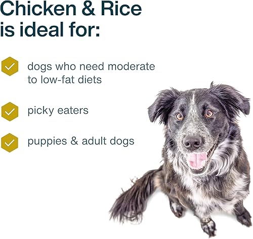 Miniatura 22 de JustFoodForDogs Alimento fresco congelado para perros, comida completa o alimento para perros, receta de alimento humano de carne de res y patata