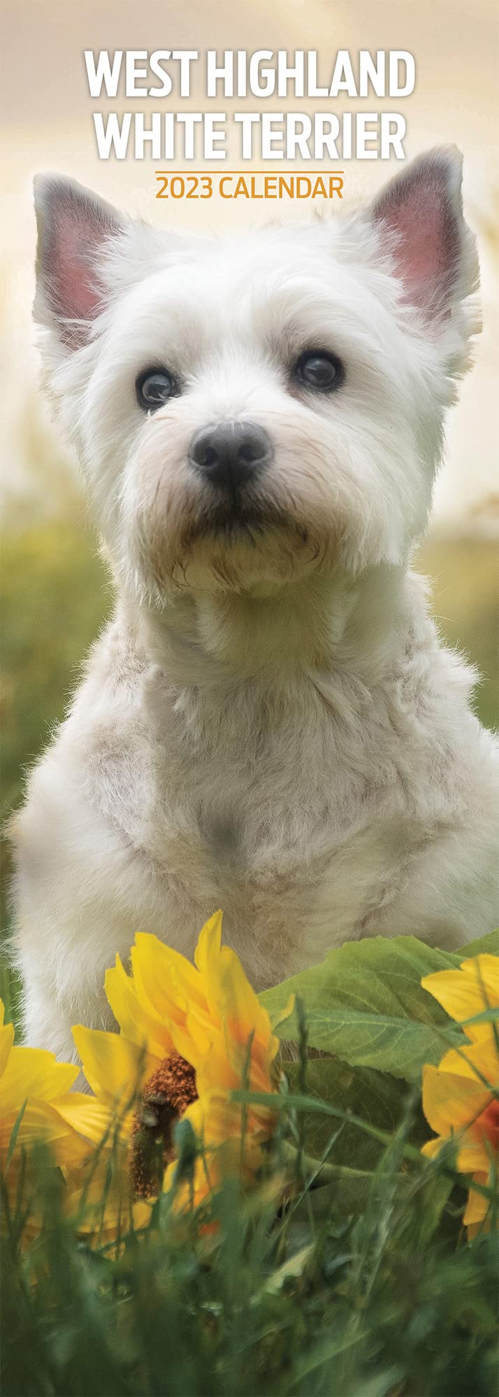 Magnet & Steel Highland White 2023 Slim Calendar
